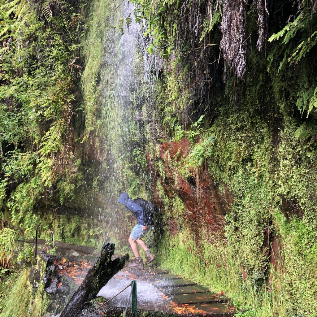 Levado do Rei PR18 Madeira