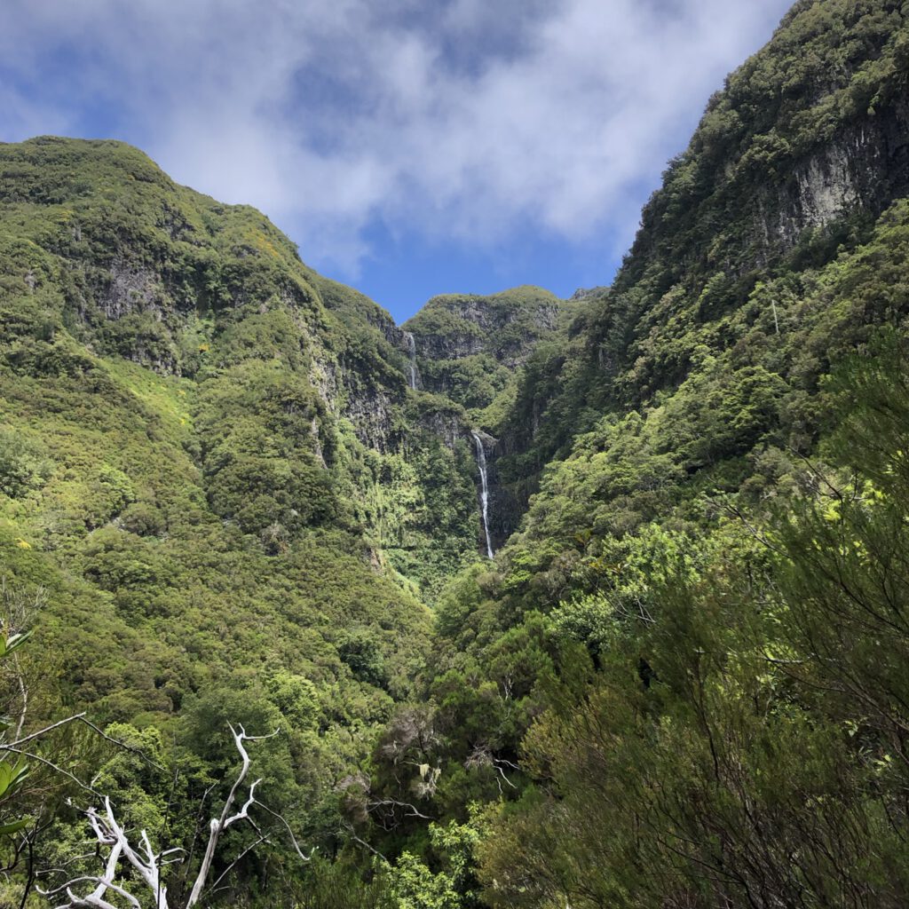 Levada das 25 fontes PR6