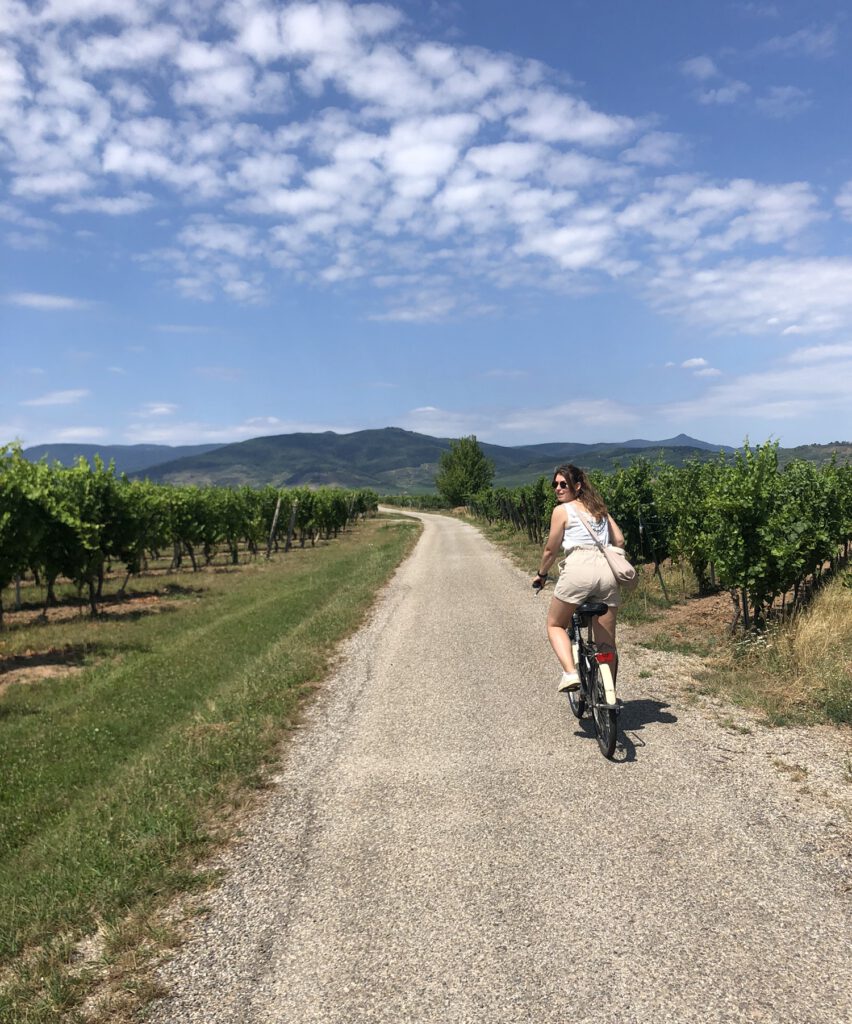 Route des Vins d'Alsace Fietsen