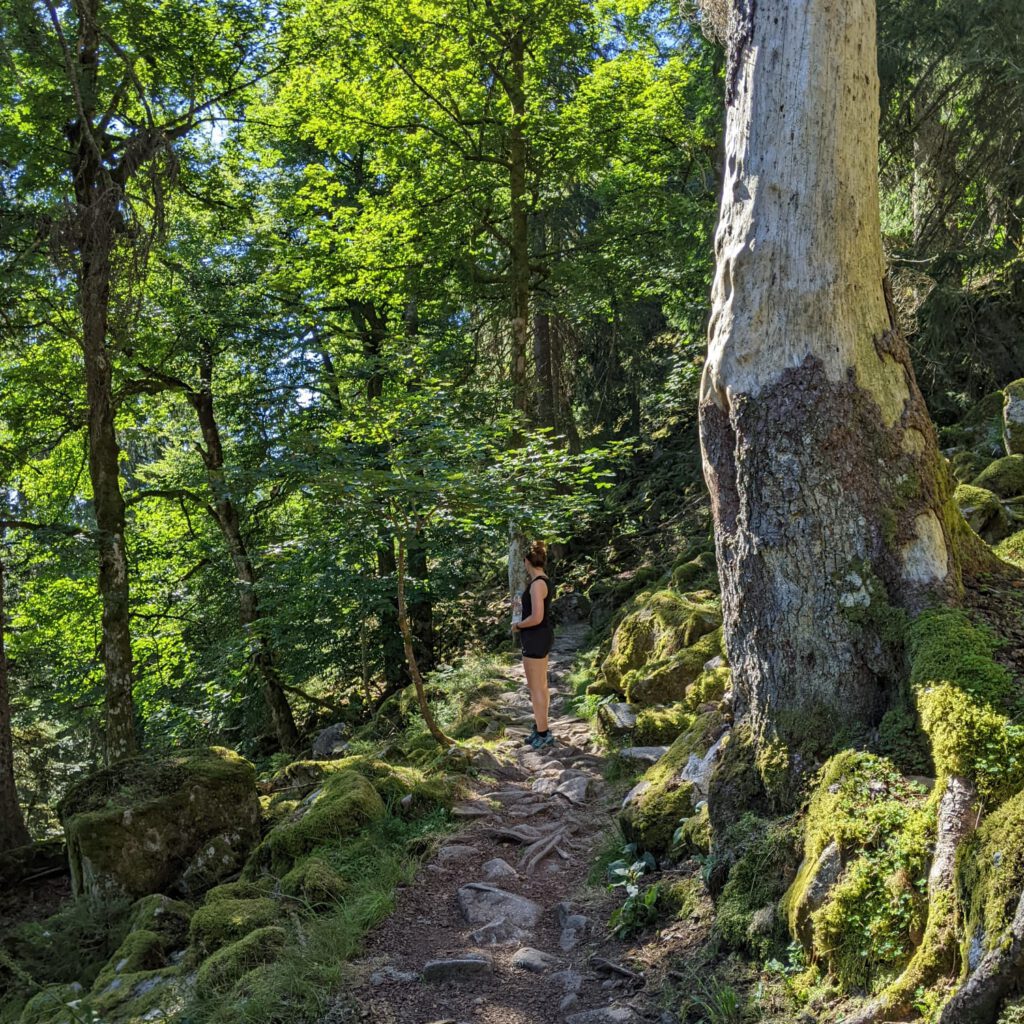 Sentier des Roches wandeling