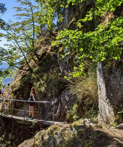 Sentier des Roches wandeling Vogezen