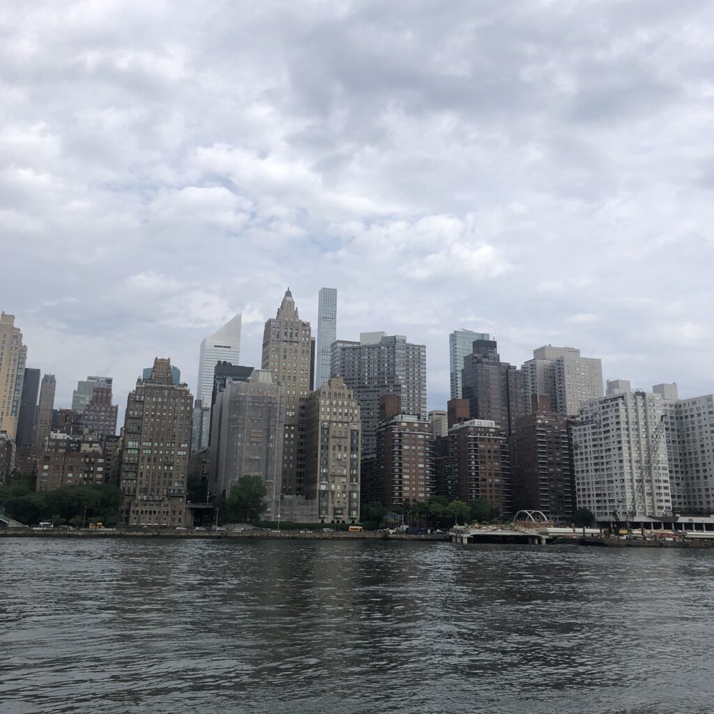 Roosevelt Island